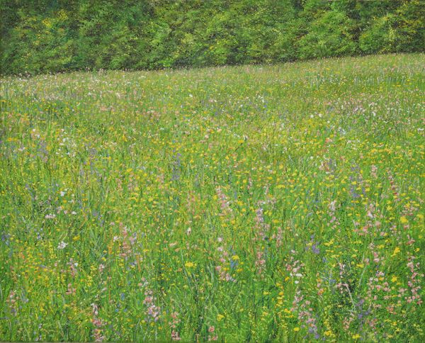 Arthur Woods Nature Paintings: Frühlingswiese