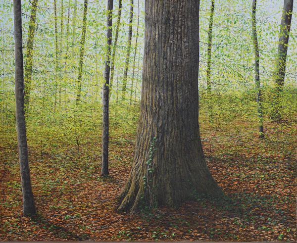 Arthur Woods Nature Paintings: Eiche