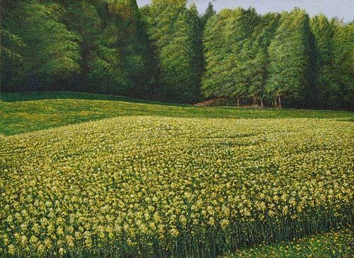 Arthur Woods Nature Paintings: Rapsfeld