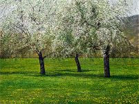 Arthur Woods Nature Paintings: Frühling in Kaltenbach