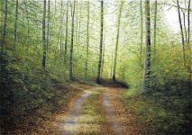Arthur Woods Nature Paintings: Im Wald / In the Forest
