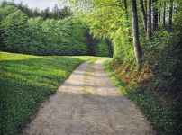 Arthur Woods Nature Paintings: Eigental