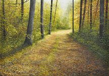 Arthur Woods Nature Paintings: Herbsttraum