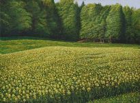 Arthur Woods Nature Paintings: Rapsfeld