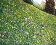 Arthur Woods Nature Paintings: Sommerbergwiese 2