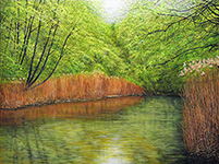 Arthur Woods Nature Paintings: Turis Weiher