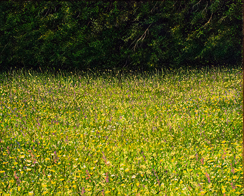 Arthur Woods Nature Paintings: Wiese auf dem Randen